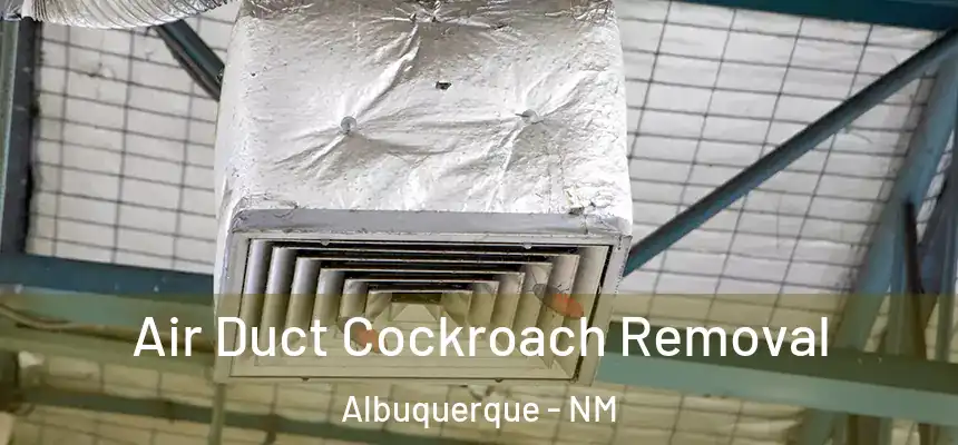 Air Duct Cockroach Removal Albuquerque - NM
