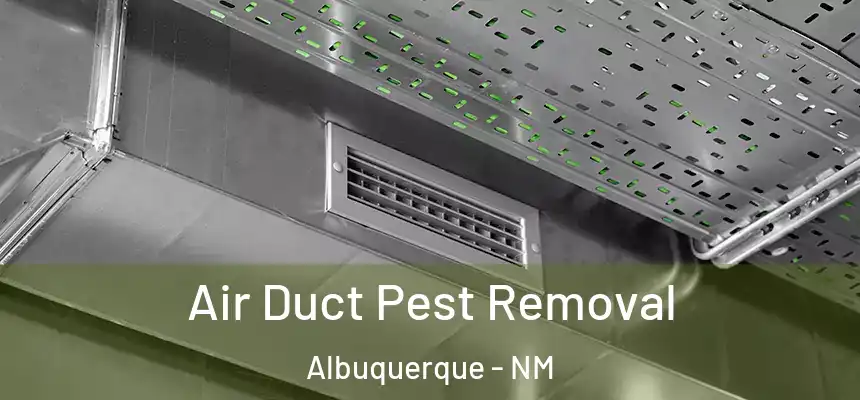  Air Duct Pest Removal Albuquerque - NM