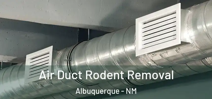  Air Duct Rodent Removal Albuquerque - NM