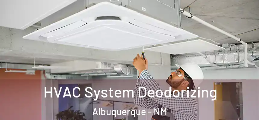  HVAC System Deodorizing Albuquerque - NM