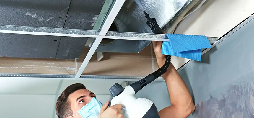 Our Air Duct Rodent Removal Services in Albuquerque, NM