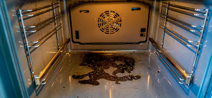 Our Dryer Vent Mold Cleaning Services in Albuquerque, NM