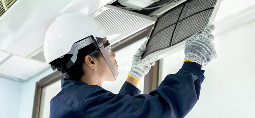 Our Mold & Mildew Removal from Air Ducts Services in Albuquerque, NM