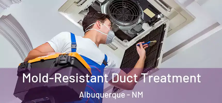 Mold-Resistant Duct Treatment Albuquerque - NM