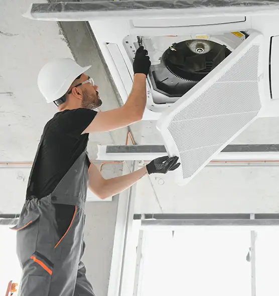 About Air Duct Rodent Removal in Albuquerque, NM