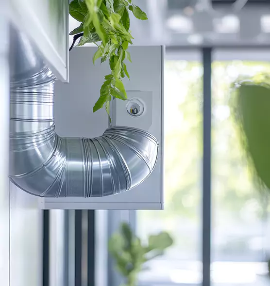 Professional Eco-Safe Dryer Vent Cleaning in Albuquerque, NM