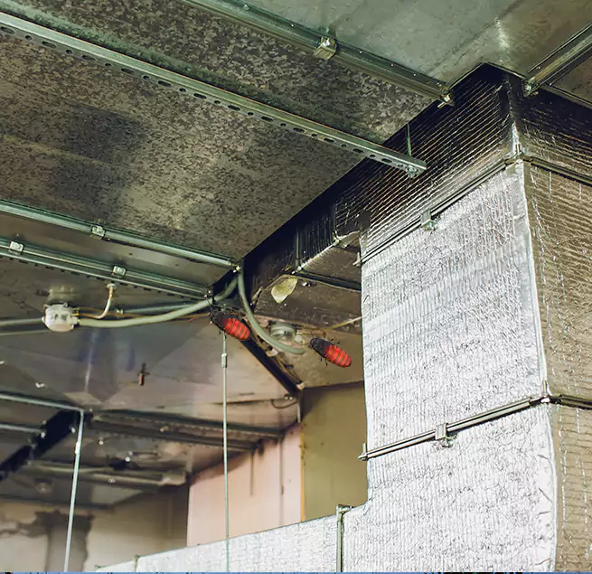 Why Homeowners & Businesses Trust Us in Albuquerque, NM?