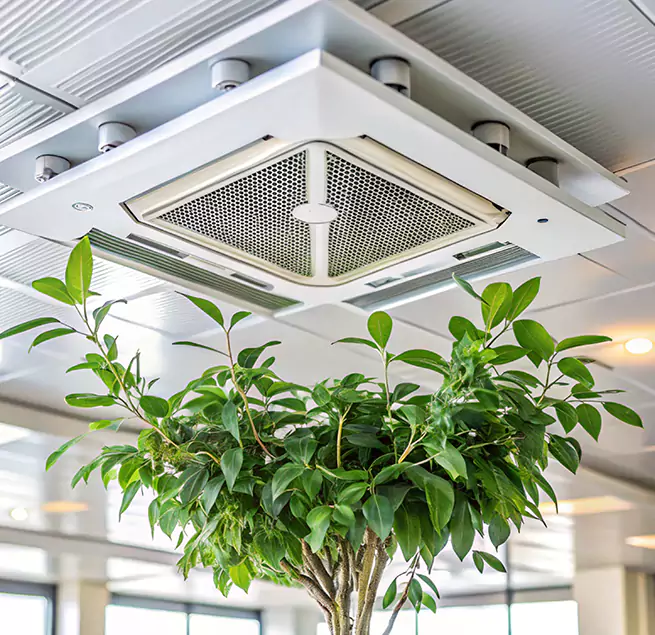 Why Homeowners & Businesses Trust Us in Albuquerque, NM?